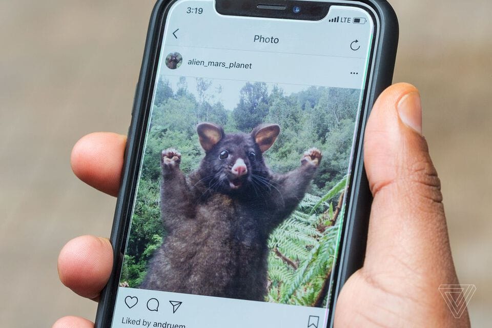 Self-Destructing Photos On Instagram – Sending Them
