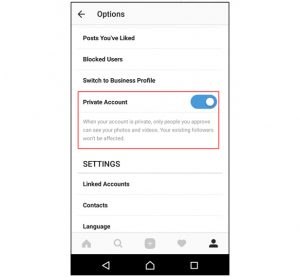 How Do I Get Access to a Private Users Pictures On Instagram ile ilgili gÃ¶rsel sonucu