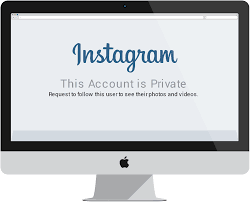 How to See Private Profiles on Instagram