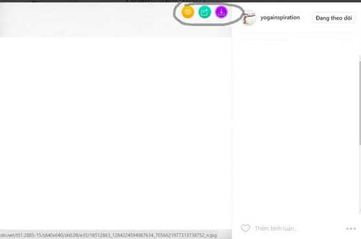 How to Download Instagram Videos