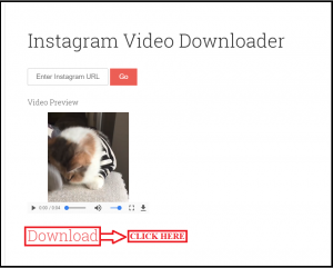Download Videos From Instagram