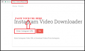 Instagram Video Downloader