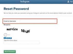 Reset Instagram Password