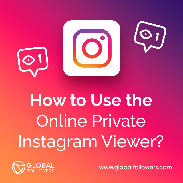 How to Use the Online Private Instagram Viewer?
