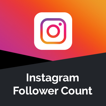 Instagram Follower Count