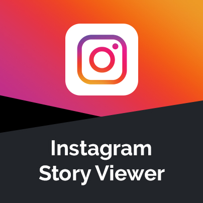 Instagram Story Viewer